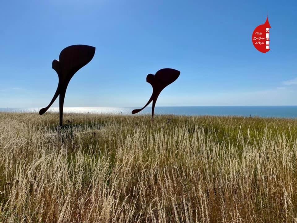 De La Baigneuse Hébergement de vacances Eu (Seine-Maritime)