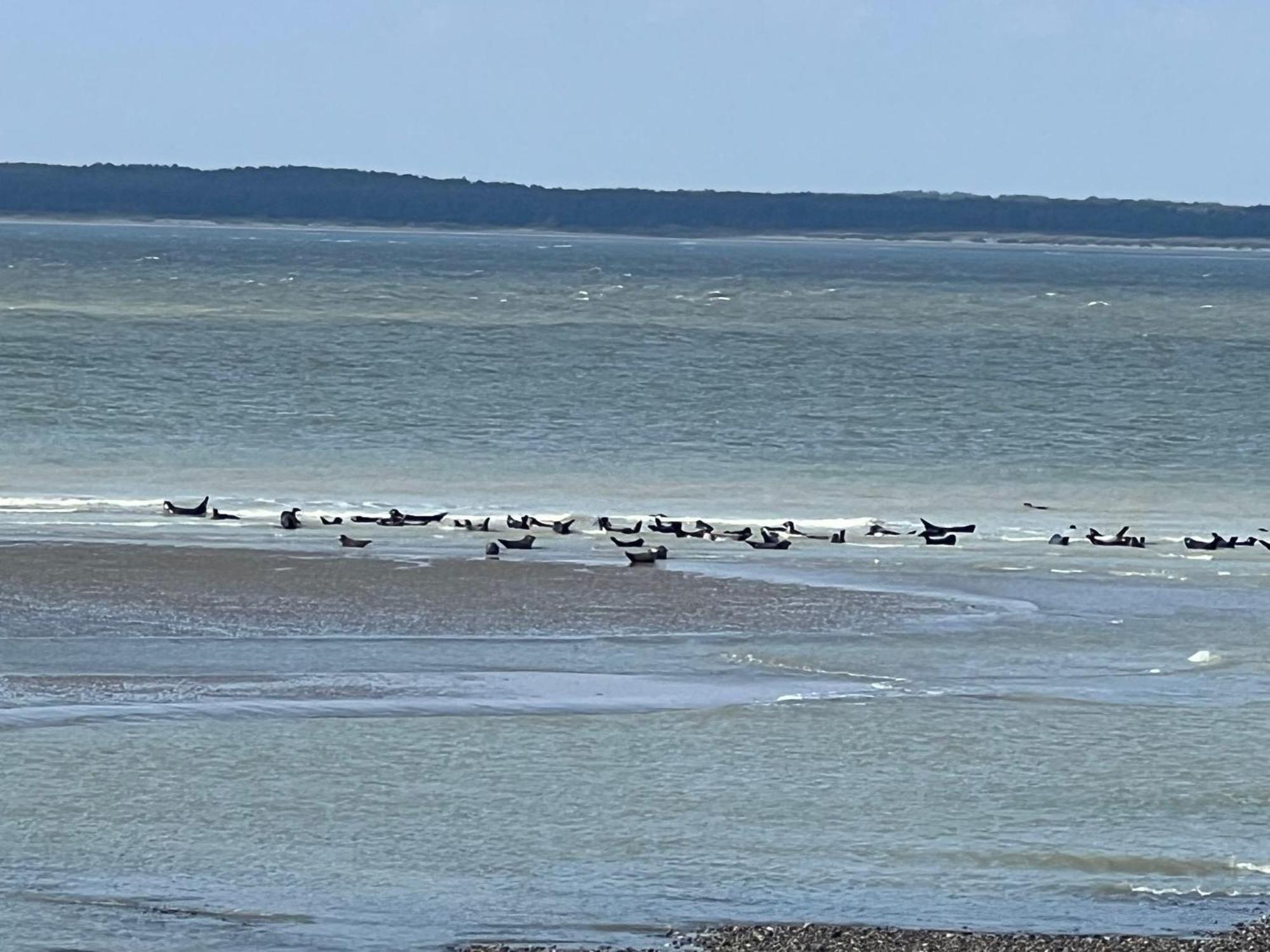 De La Baigneuse Hébergement de vacances